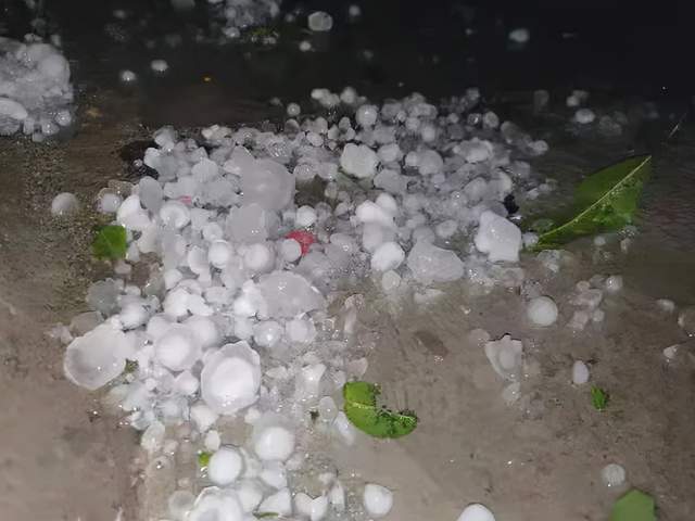 大连冰雹保险怎么赔？