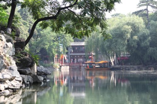 49岁母亲的社保购买之路，一份详尽指南