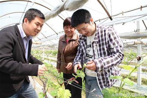 石家庄医保结算方式详解，如何享受医疗保障待遇