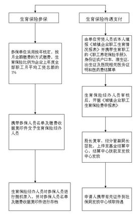 宜兴生育保险报销指南