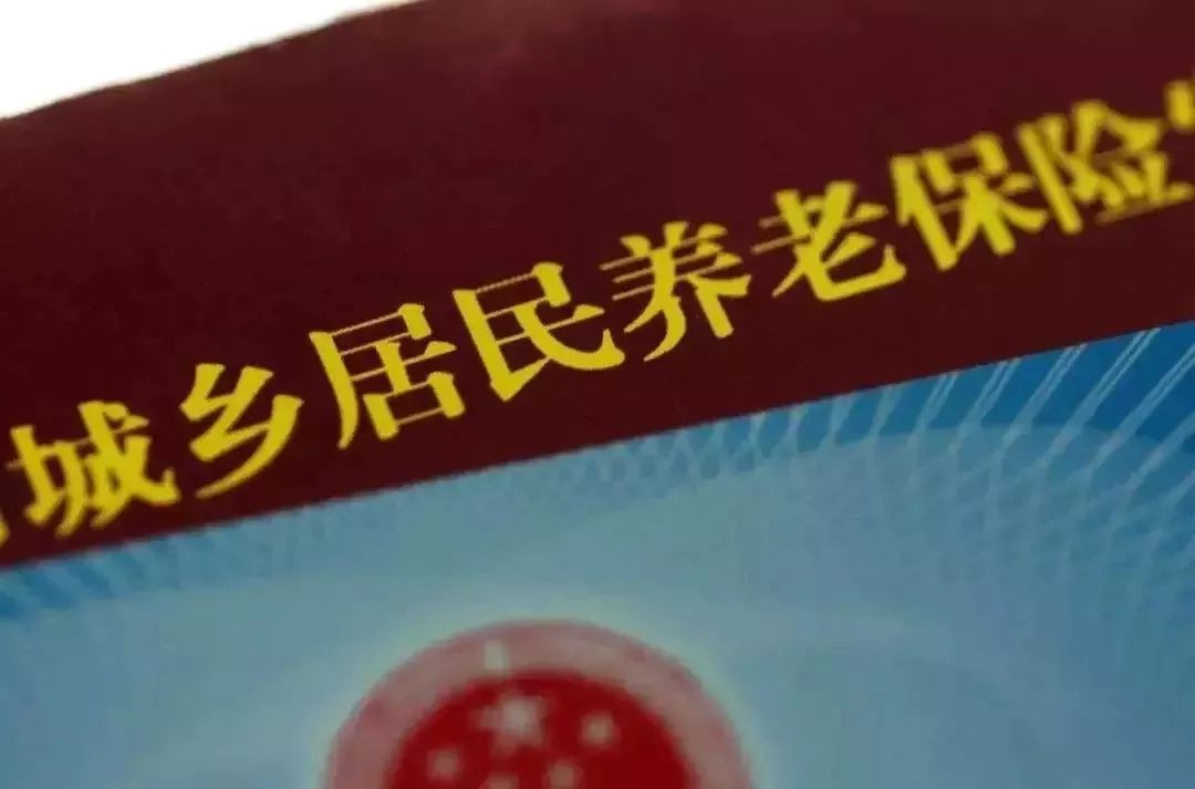 如何查询养老保险信息，一份全面指南