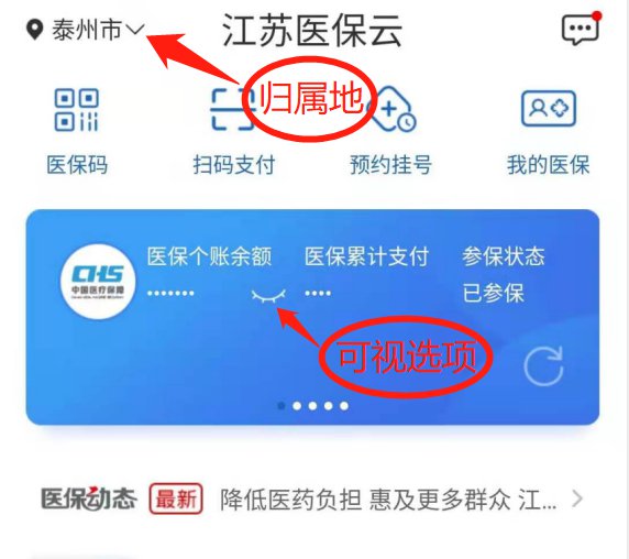 如何查询国家医保余额，一份详细指南
