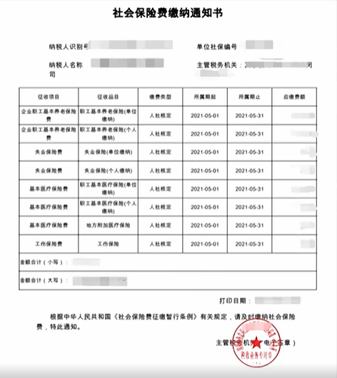 如何查询单位缴纳社保情况