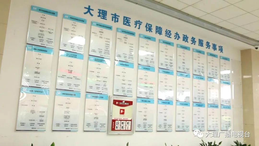 大理购买医保怎么买？