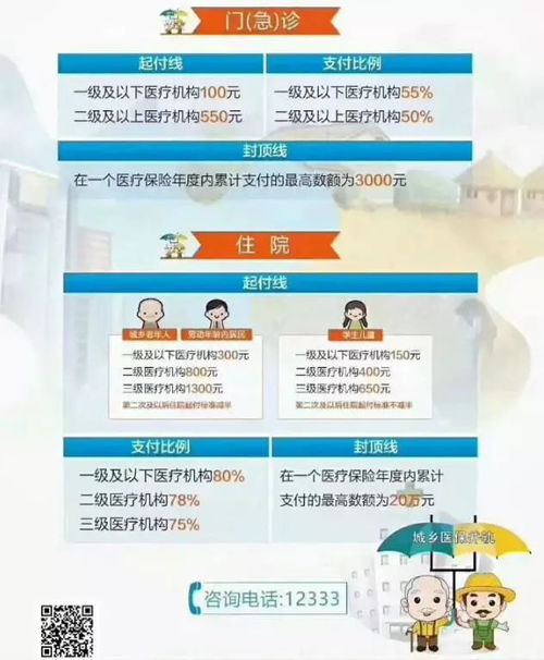 社保统筹怎么查看医保——详细指南