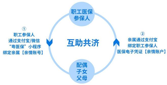 如何在东阳实现医保亲情绑定，让家庭共享医疗保障