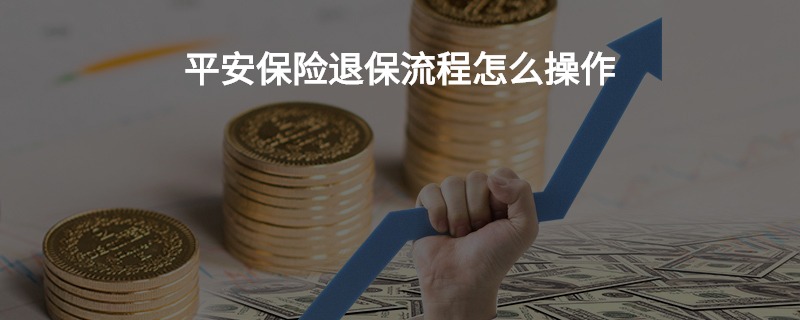 如何退平安普惠里的保险？详细步骤解析