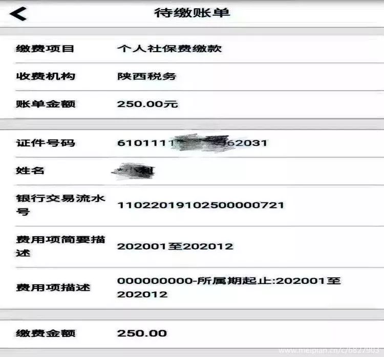 医保缴纳查询指南，如何查看个人医保是否已经缴清