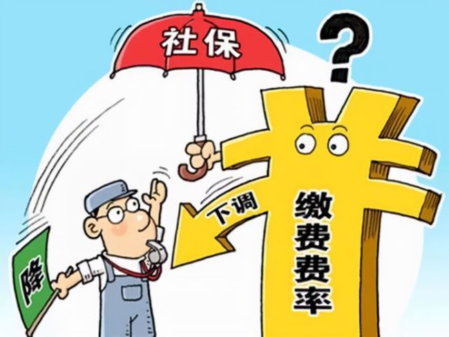 社保同月重复缴费的应对策略与处理方法