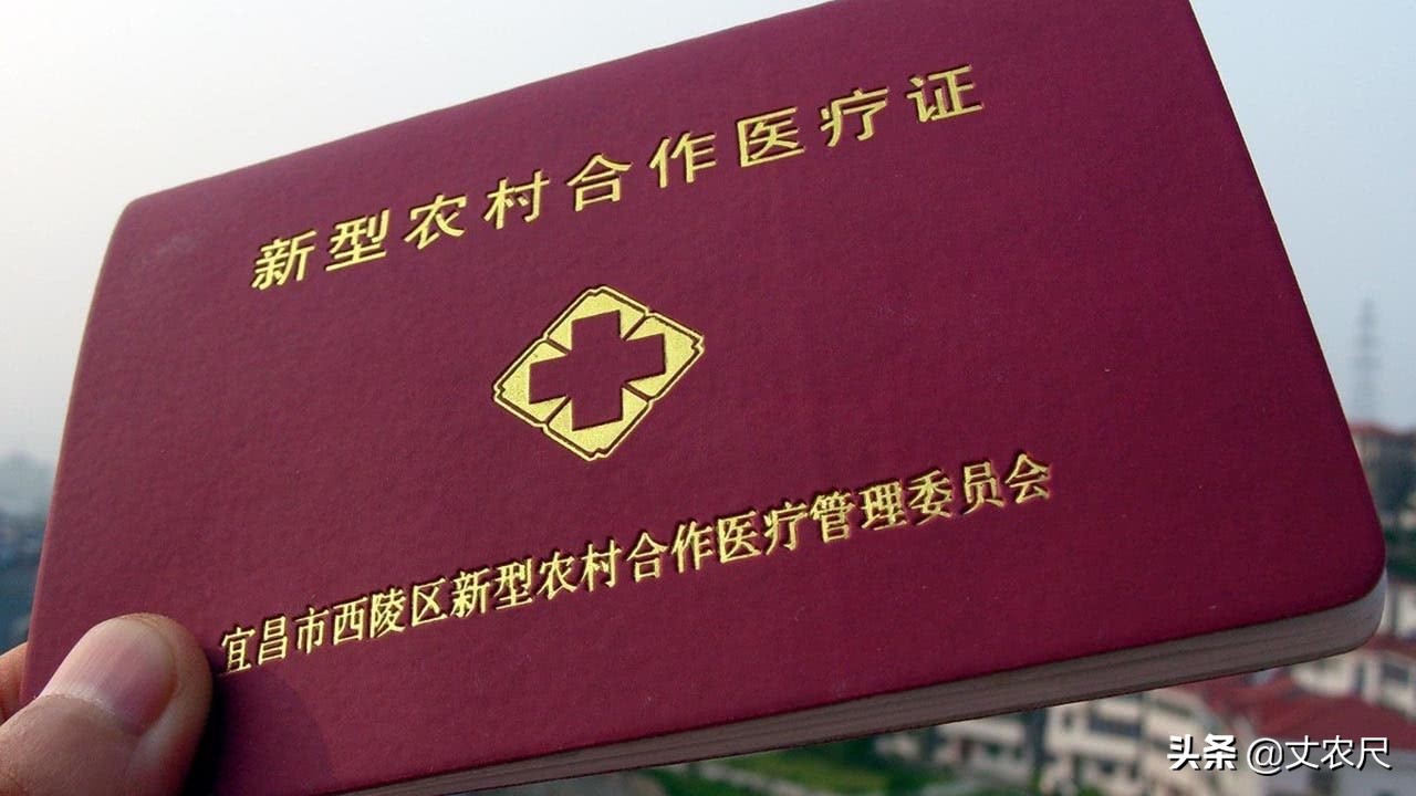 农合改名怎么办理医保，一步一步教你轻松完成
