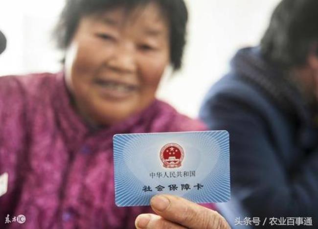 苍山农村医保怎么交？