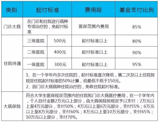 大学生医保补缴全攻略，如何进行操作和注意事项
