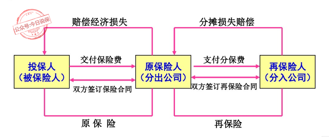 保险关系怎么转？