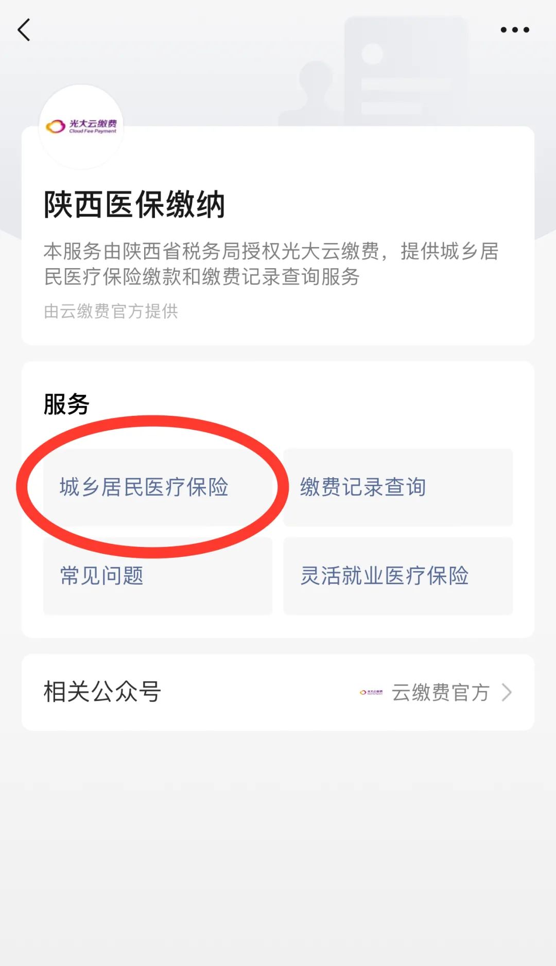 西安城市医保怎么查询缴费