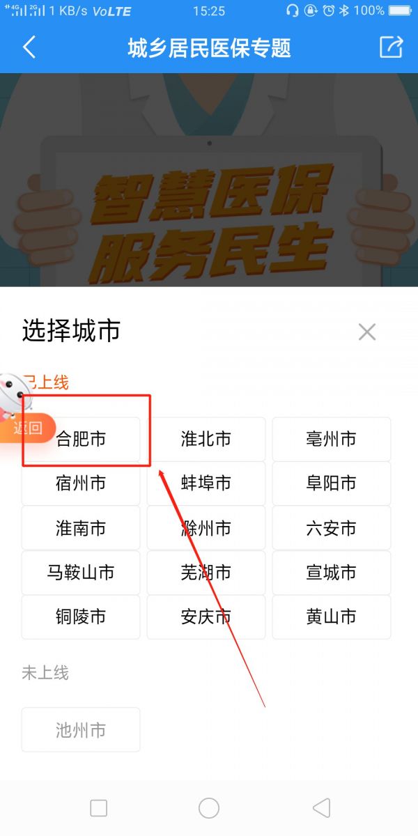 阜阳医保查询去年操作指南