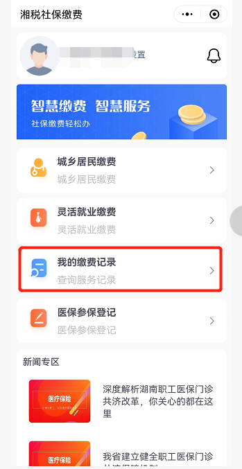 湖南乡村医保查询指南