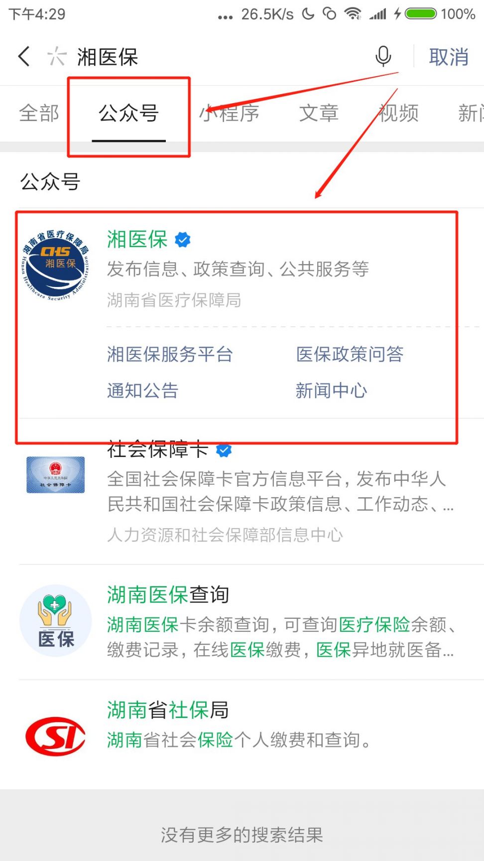 湖南乡村医保查询指南