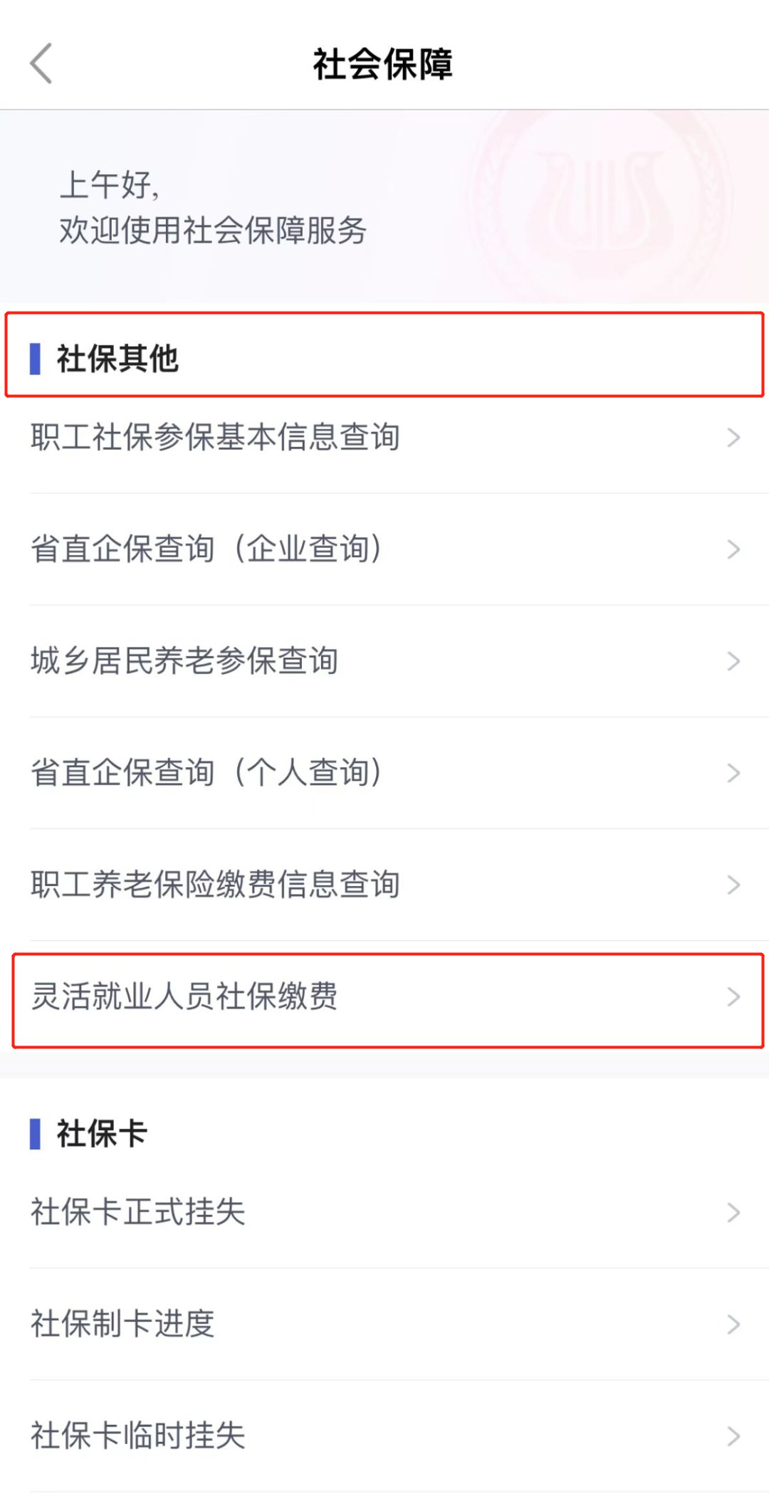 医保缴纳之后怎么查询记录