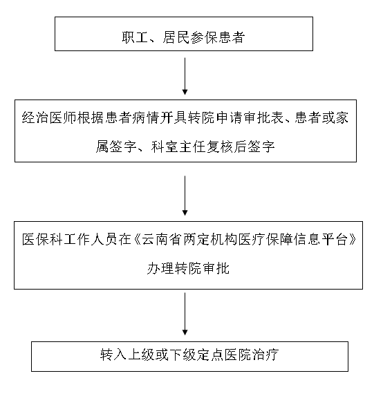 云南医保转院攻略，详细步骤与注意事项
