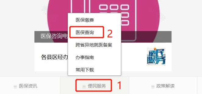 网上医保账户怎么查询