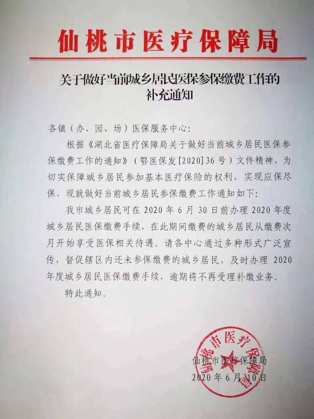 指南仙桃个人如何进行医保缴费？详细了解步骤和注意事项