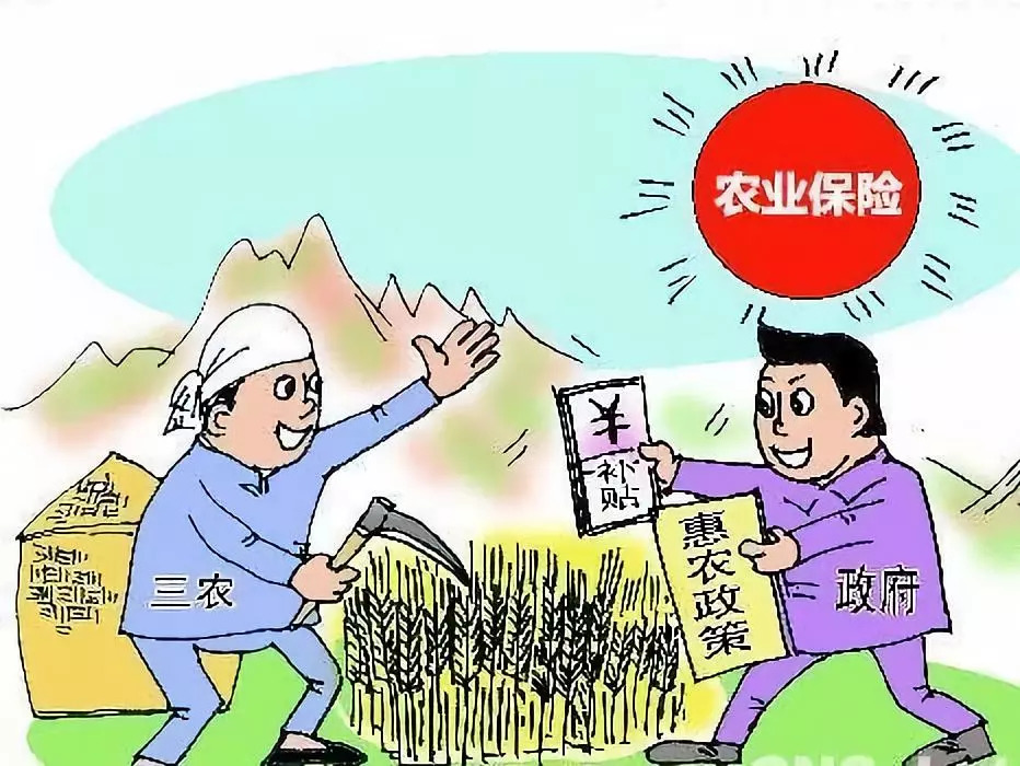 三农保险怎么赔付？