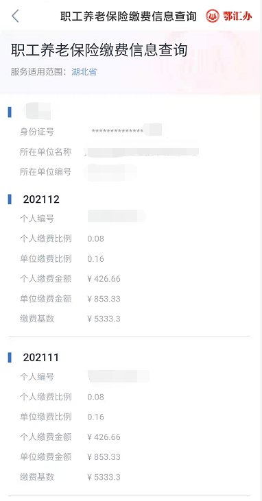如何查询家人的社保记录明细