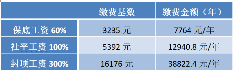 人才引进的社保怎么交费