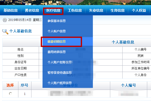 如何查询医保缴费入账情况？