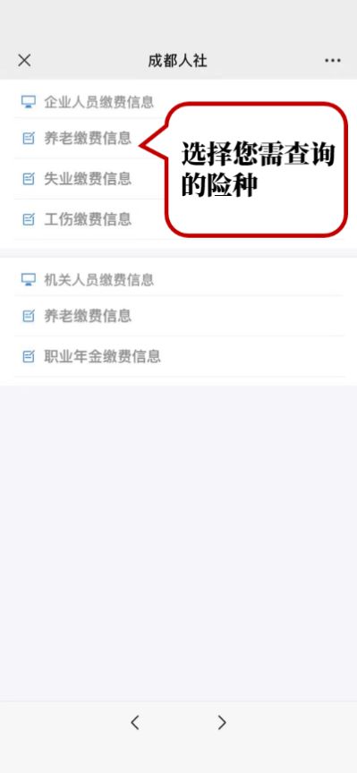 怎么查询员工社保缴费情况
