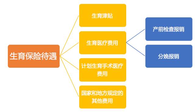 医保怎么报销生孩子？
