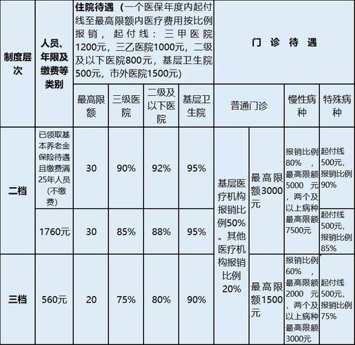 如何正确提交医保计划，一份详细指南