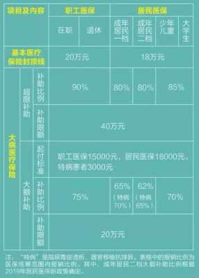 这些医保政策怎么查？