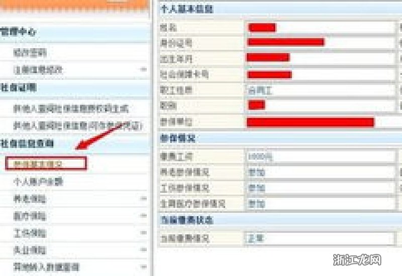 医保与社保，如何查询个人的社会保障信息