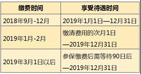 医保欠费查询攻略，如何避免错过缴费日期
