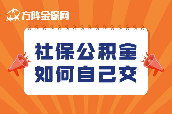 如何为HR交纳社保公积金？