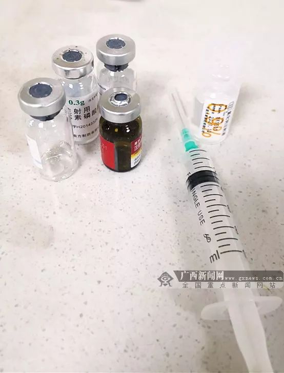 怎么查看宠物医保进度