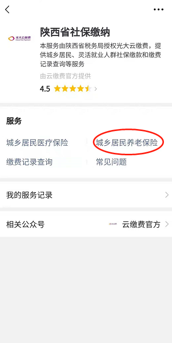 陕西社保云缴费怎么交？
