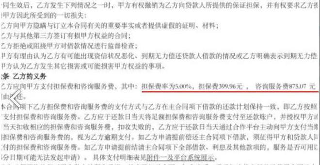探讨贷款户的表述方式及其重要性