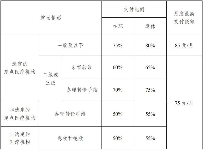 遂宁医保报销怎么计算额度