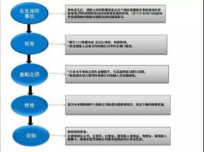 身故保险公司如何进行调查？揭秘保险理赔流程