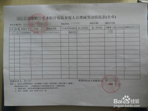 昆明医保社保查询指南，如何获取个人医保和社保信息