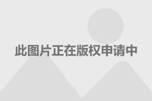 今年退休职工医保报销新政策及流程详解