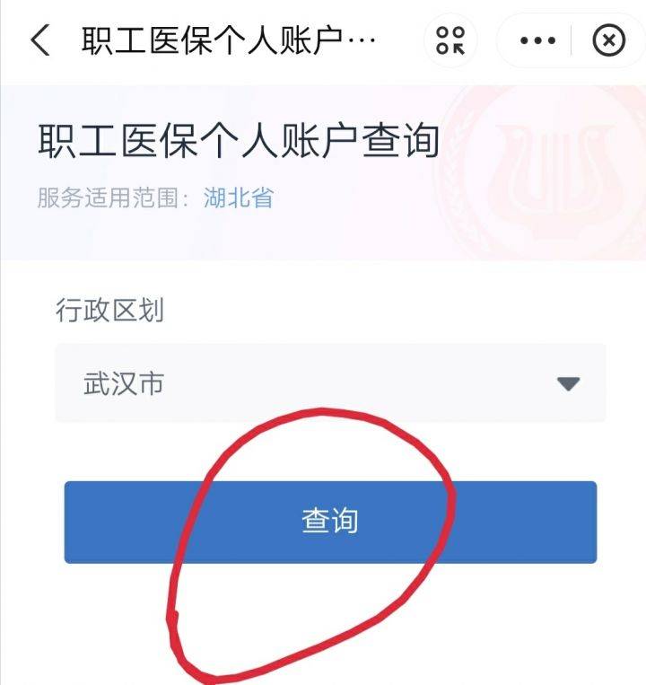 网上医保怎么查明细？