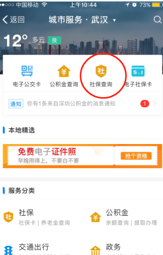 养老医疗保险查询全攻略，如何查询个人养老金和医疗保险缴纳情况
