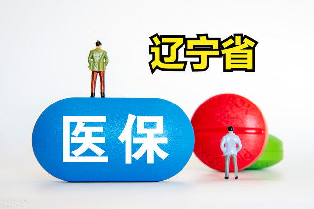 辽宁医保返还怎么查询？