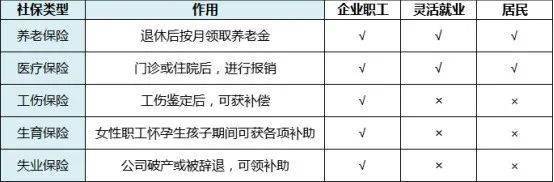 单位如何为员工交纳全部社保？详细步骤与注意事项