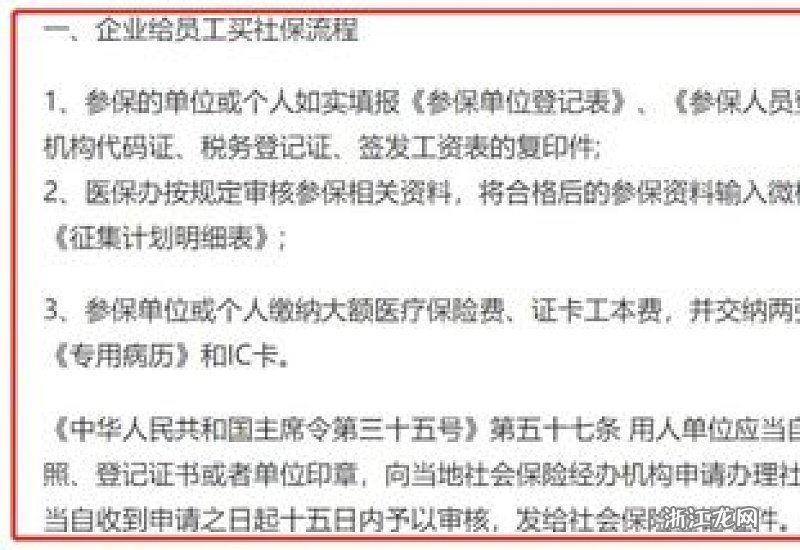 单位如何为员工交纳全部社保？详细步骤与注意事项