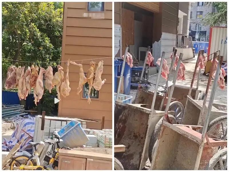 吉林地区社保在线补缴全攻略，如何操作、注意事项及常见问题解答