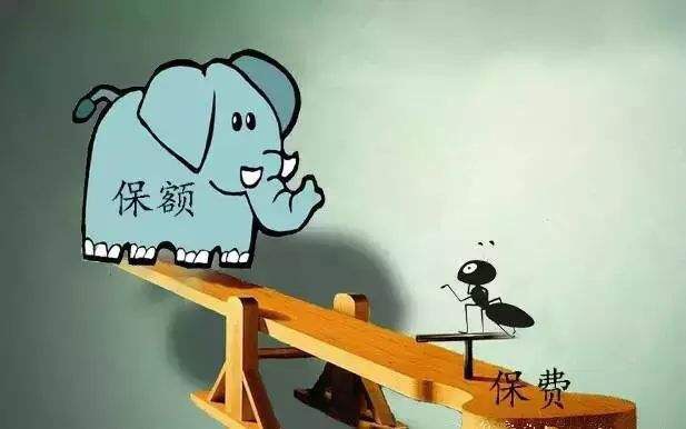保险，你凭什么卖这么贵？